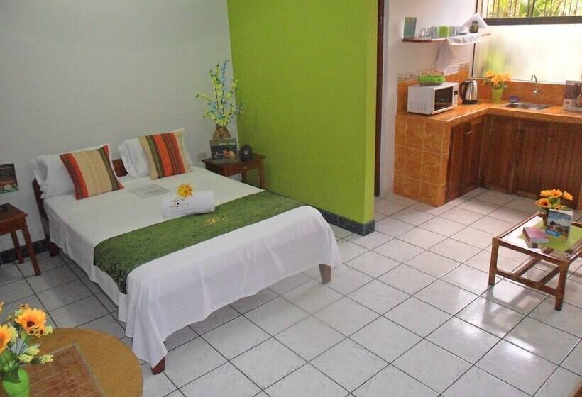 스탠다드 스튜디오, Nativa Apartments