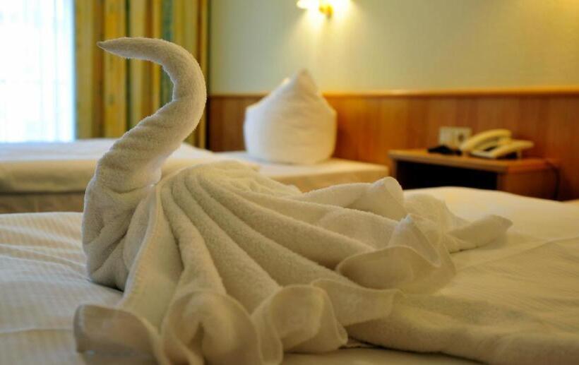 스탠다드 싱글 룸, Park Hotel Sellin