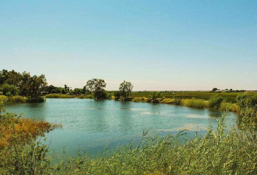 شاليه غرفة نوم واحدة, Bezalel Wine & Brandy Estate