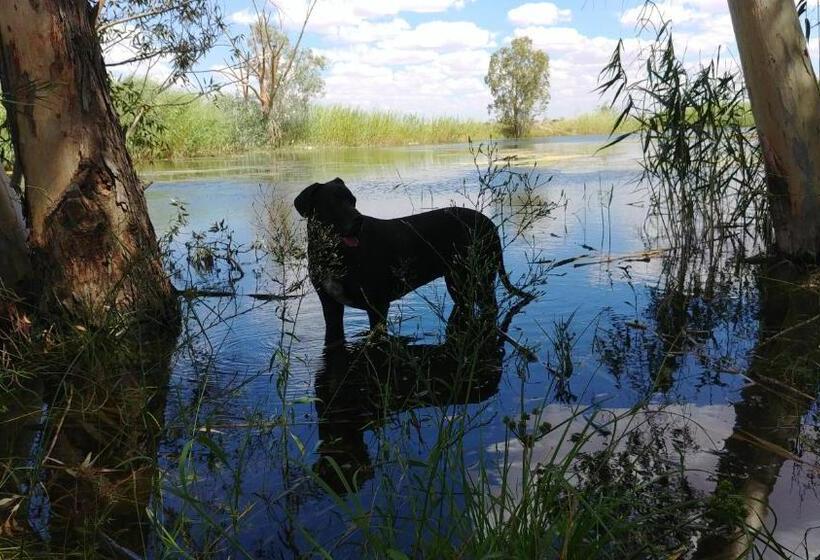 شاليه غرفة نوم واحدة, Bezalel Wine & Brandy Estate