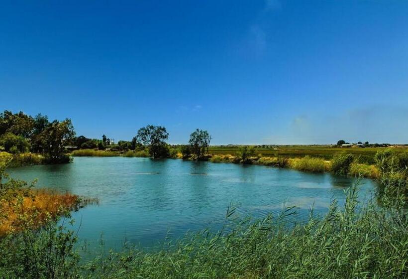 شاليه غرفة نوم واحدة, Bezalel Wine & Brandy Estate