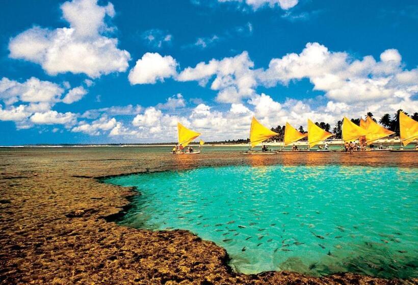 آپارتمان 1 خوابه با چشمانداز استخر, Laguna Beach Flat 205