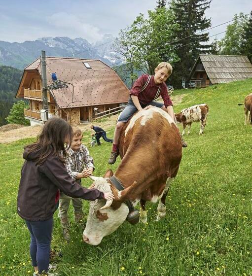 کلبه ییلاقی سوپریور یک خوابه, Holiday Chalet Alpine Dreams