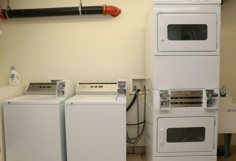 إستوديو قياسى, Downtown Beacon Hill, Convenient, Comfy Studio #10