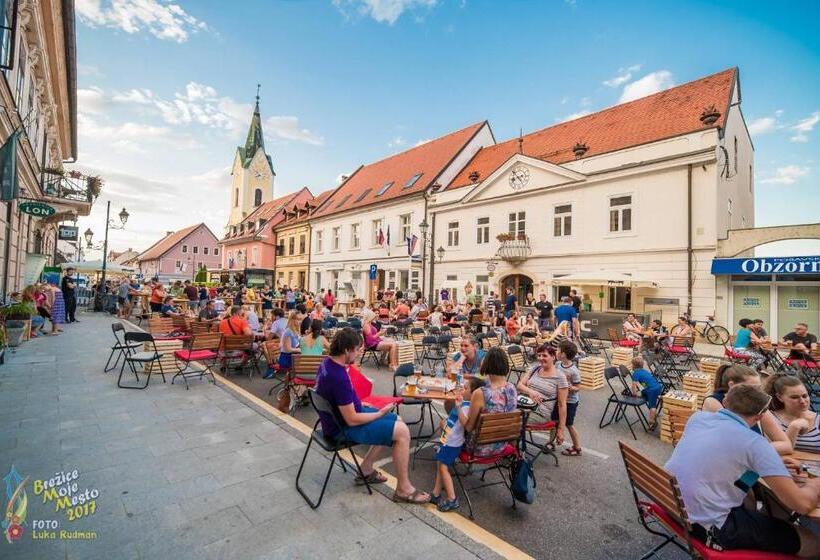 اتاق استاندارد, Cateski Dvorec