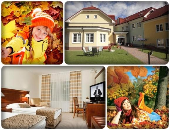 اتاق استاندارد, Cateski Dvorec