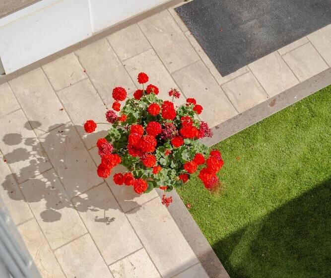 Семейный Номер, Domomea