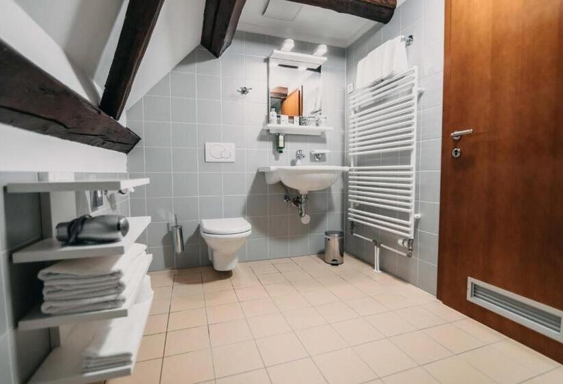 اتاق استاندارد, Dvor Jezersek Brnik