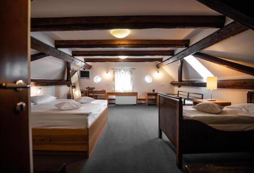 اتاق استاندارد, Dvor Jezersek Brnik