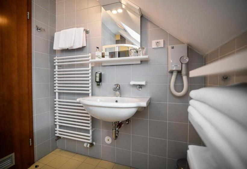 اتاق استاندارد سه نفره, Dvor Jezersek Brnik