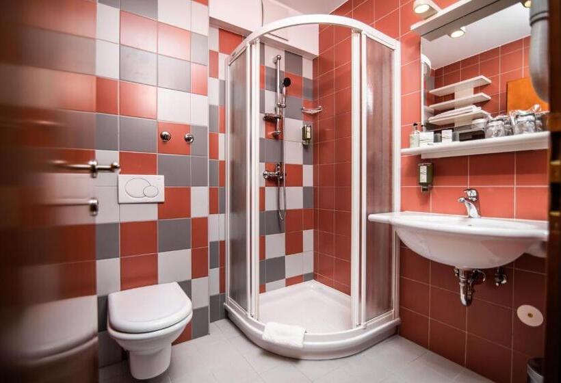 اتاق استاندارد, Dvor Jezersek Brnik