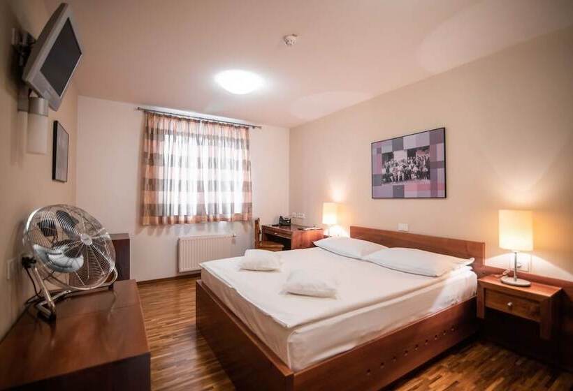 اتاق استاندارد, Dvor Jezersek Brnik