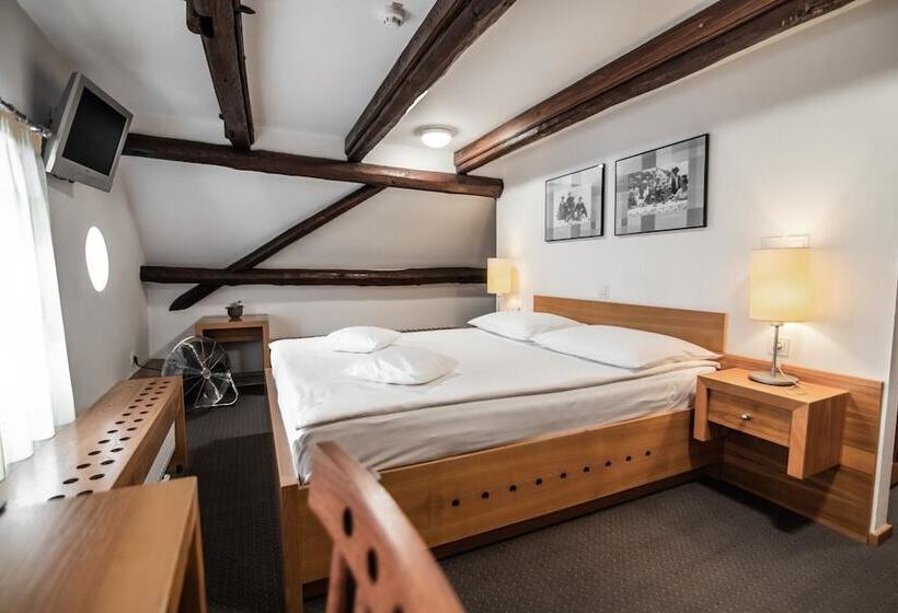 اتاق استاندارد, Dvor Jezersek Brnik