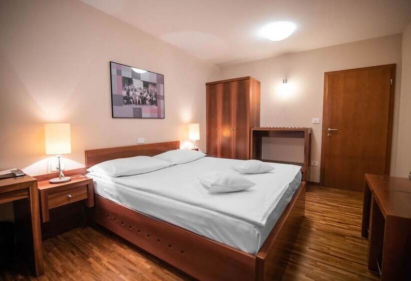 اتاق استاندارد, Dvor Jezersek Brnik