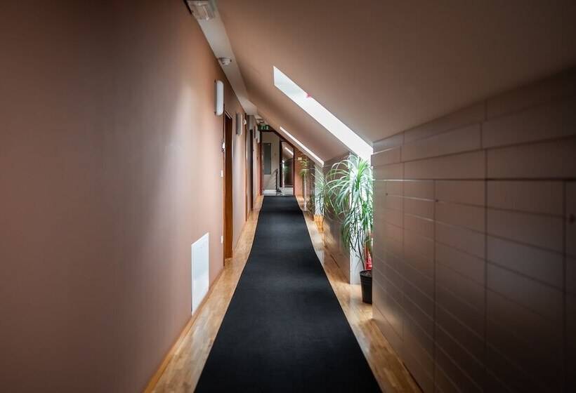 اتاق استاندارد, Dvor Jezersek Brnik