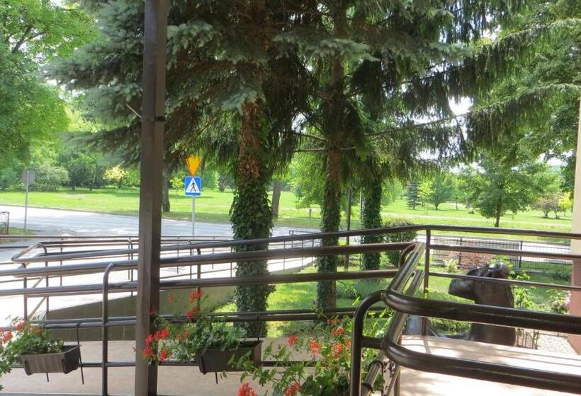 Номер Стандарт Индивидуальный, Gromada Medical Spa Busko Zdrój
