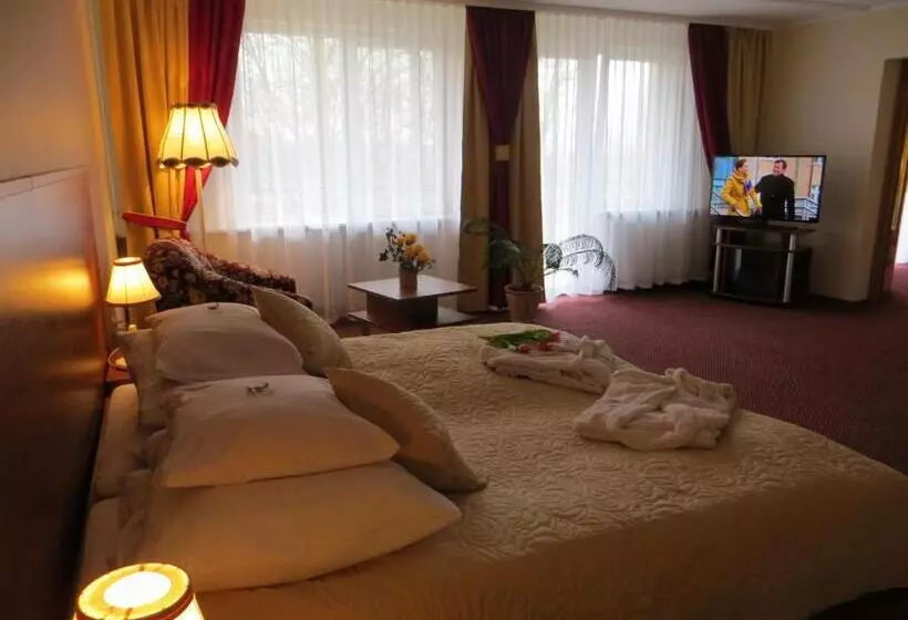 バルコニー付き１ベッドルームアパートメント, Gromada Medical Spa Busko Zdrój