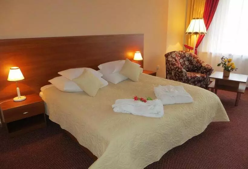バルコニー付き１ベッドルームアパートメント, Gromada Medical Spa Busko Zdrój