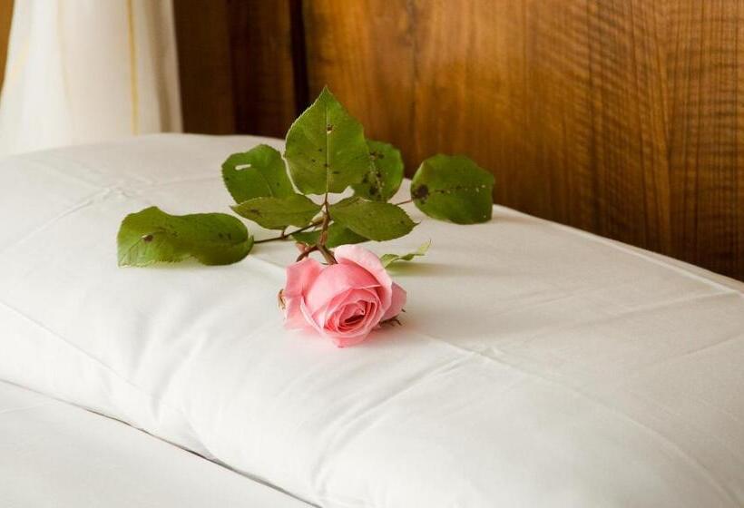 غرفة قياسية, Rosa Resort