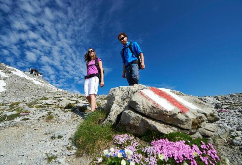 غرفة قياسية سرير كينج, Sportlodge Klosters