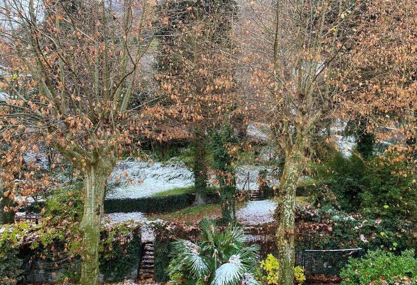 小型套房, Trieste