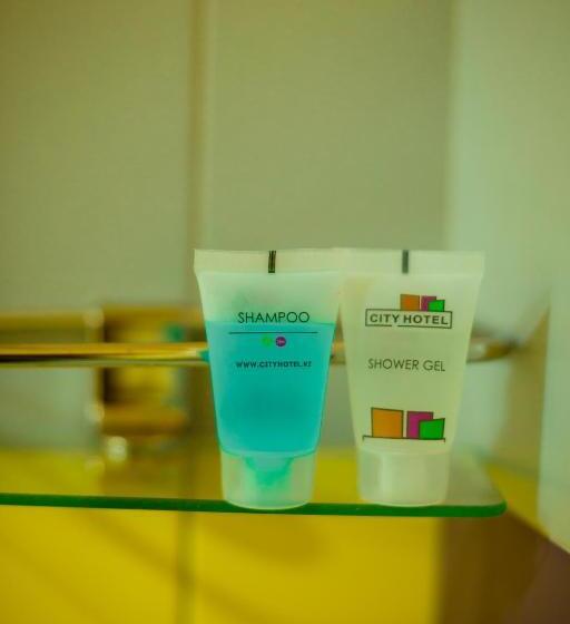 سوییت, City Hotel Shymkent