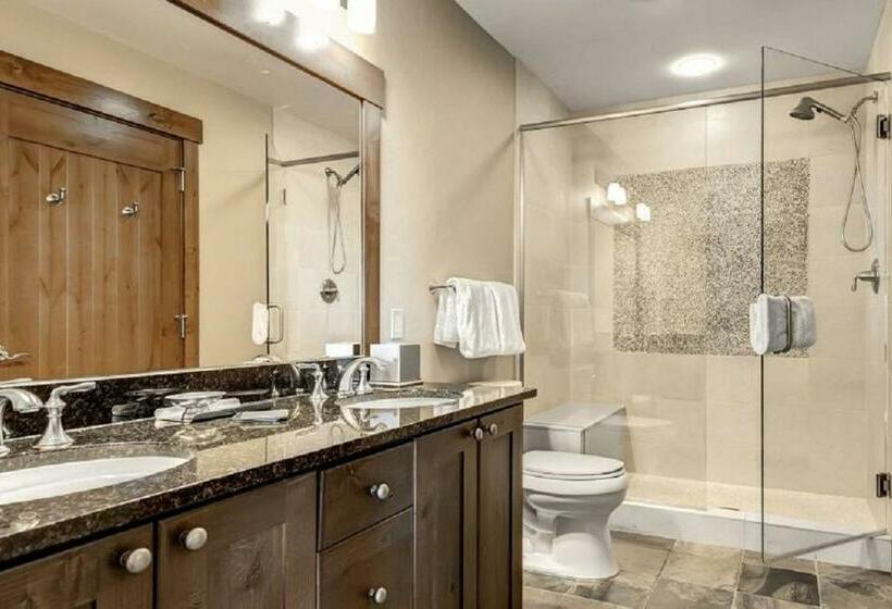 Апартаменты 1 Спальня, One Ski Hill Place