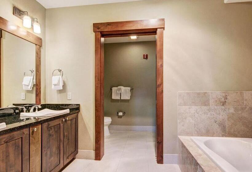 Апартаменты 1 Спальня, One Ski Hill Place