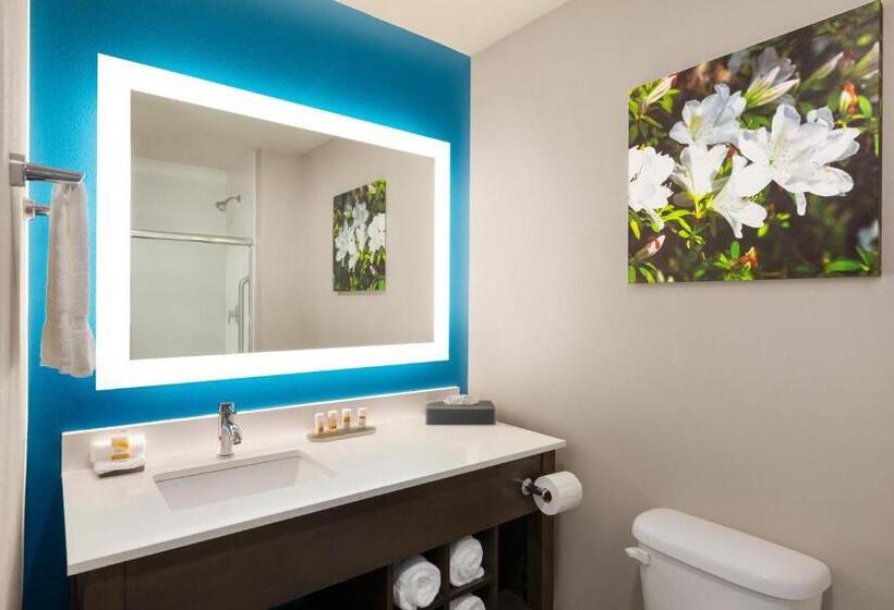 غرفة قياسية, La Quinta By Wyndham Gainesville