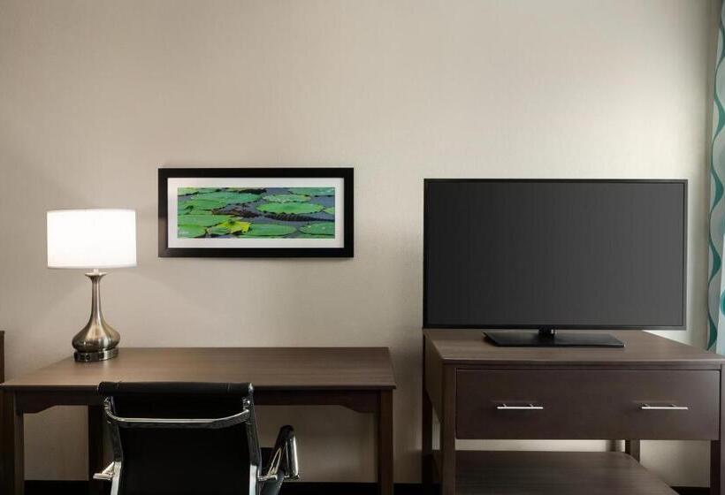 Студия Стандарт, La Quinta By Wyndham Gainesville