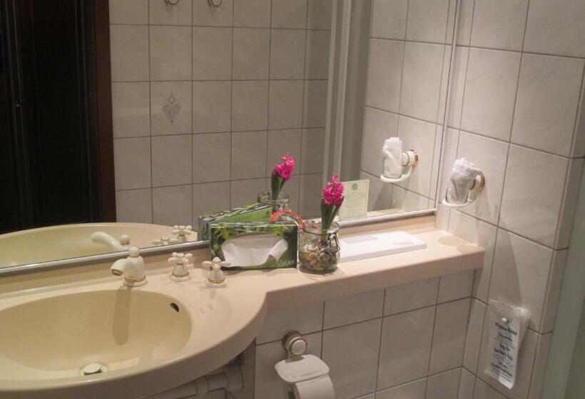 스탠다드 싱글 룸, Adler Golf& Tagungs