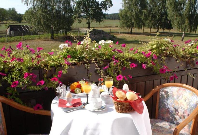 이코노미 룸, Adler Golf& Tagungs