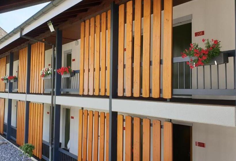 Номер Стандарт Индивидуальный, Balsthal