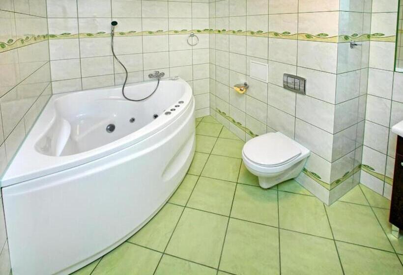 Номер Стандарт с Гидромассажем, Best Inn