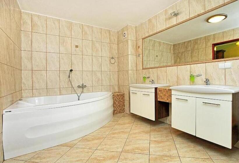 اتاق استاندارد با وان آب گرم, Best Inn