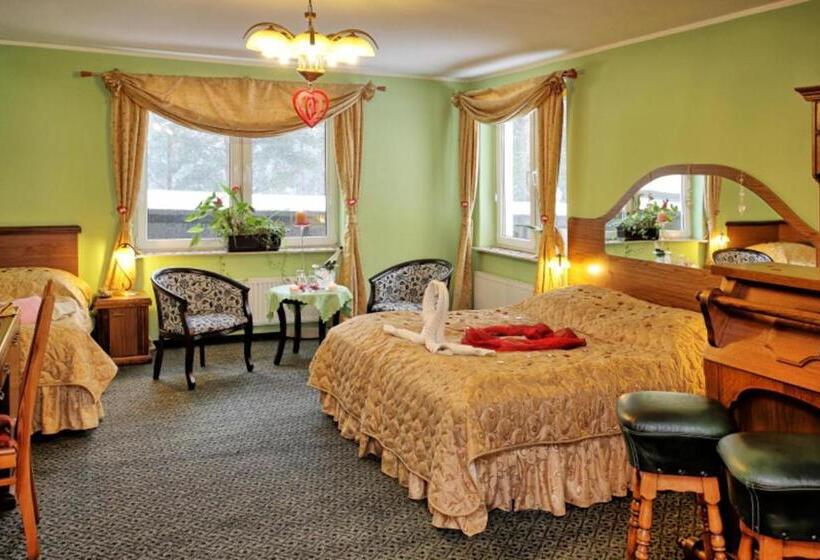 اتاق استاندارد با وان آب گرم, Best Inn