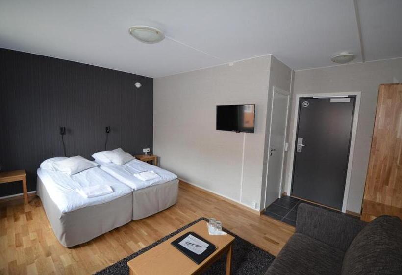 غرفة سوبيريور, L Svanen