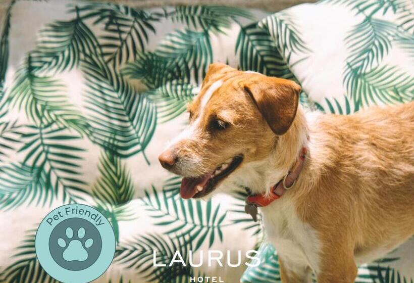 اتاق استاندارد, Laurus