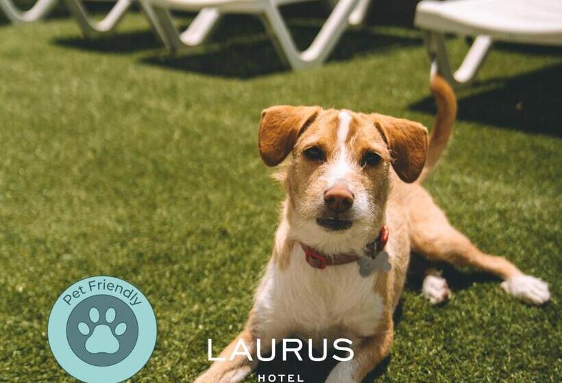 اتاق استاندارد, Laurus