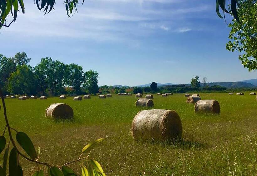 Номер Стандарт Трехместный, Resort Park Village