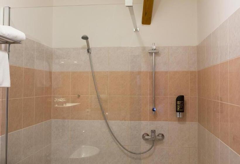 Номер Стандарт, Selsky Dvur