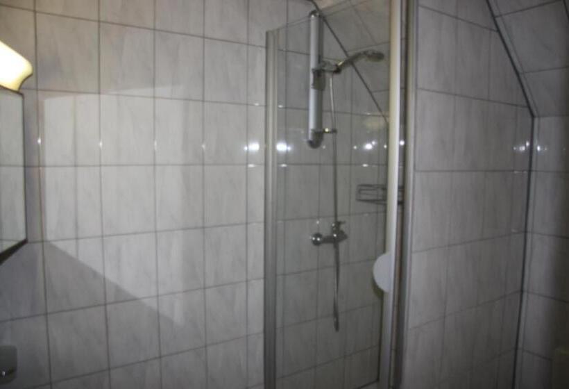 标准单人间, Zum Goldenen Stern