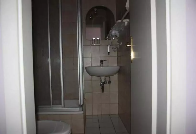 Standard Kolmen Hengen Huone, Zum Goldenen Stern