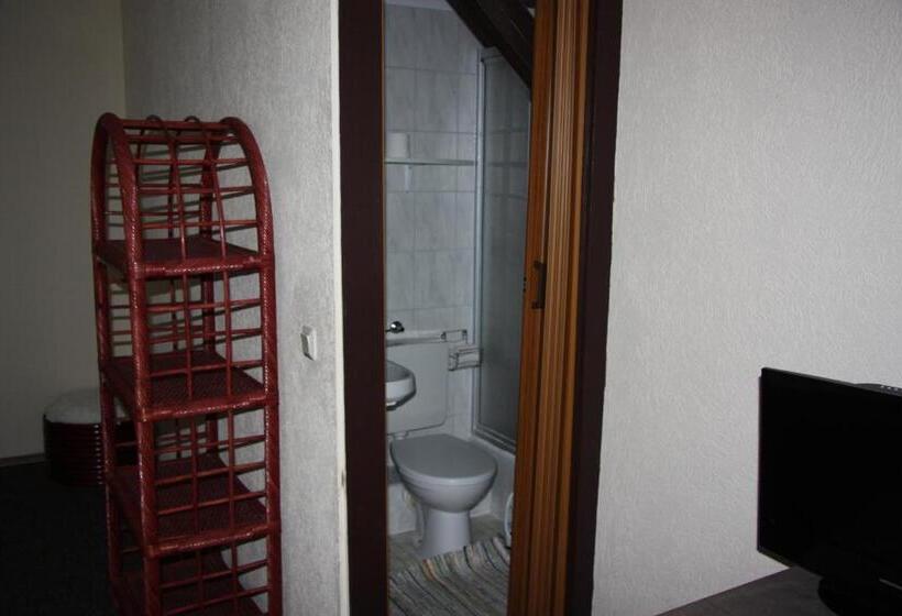 חדר סטנדרט לארבעה, Zum Goldenen Stern