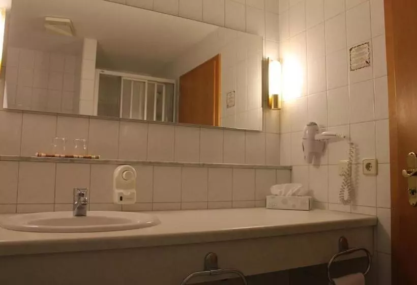 スタンダードシングルルーム, Landgasthof Hotel Zur Linde Im Taunus