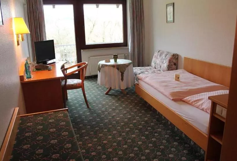 スタンダードシングルルーム, Landgasthof Hotel Zur Linde Im Taunus