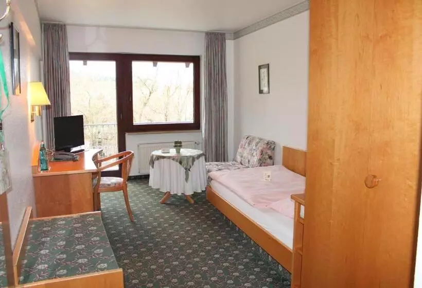 スタンダードシングルルーム, Landgasthof Hotel Zur Linde Im Taunus