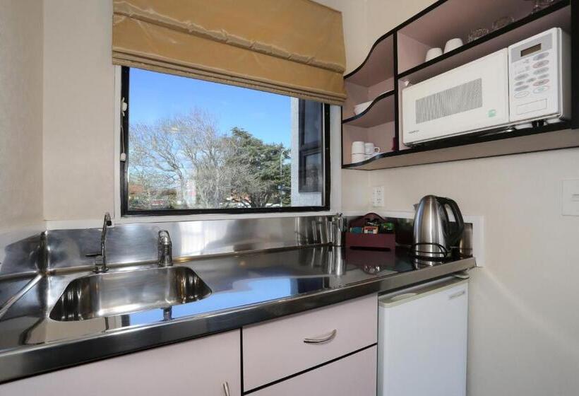 إستوديو قياسى, Shadzz Motel