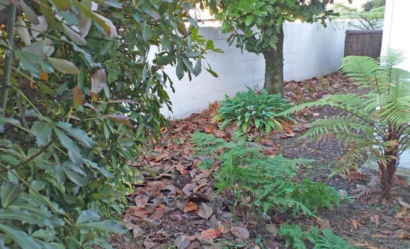 إستوديو قياسى, Shadzz Motel