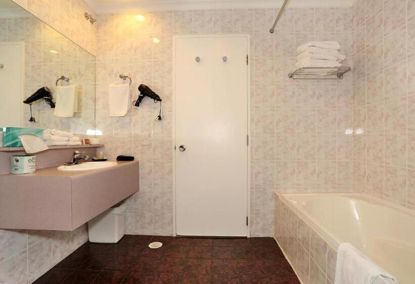 شقة غرفة واحدة, Shadzz Motel